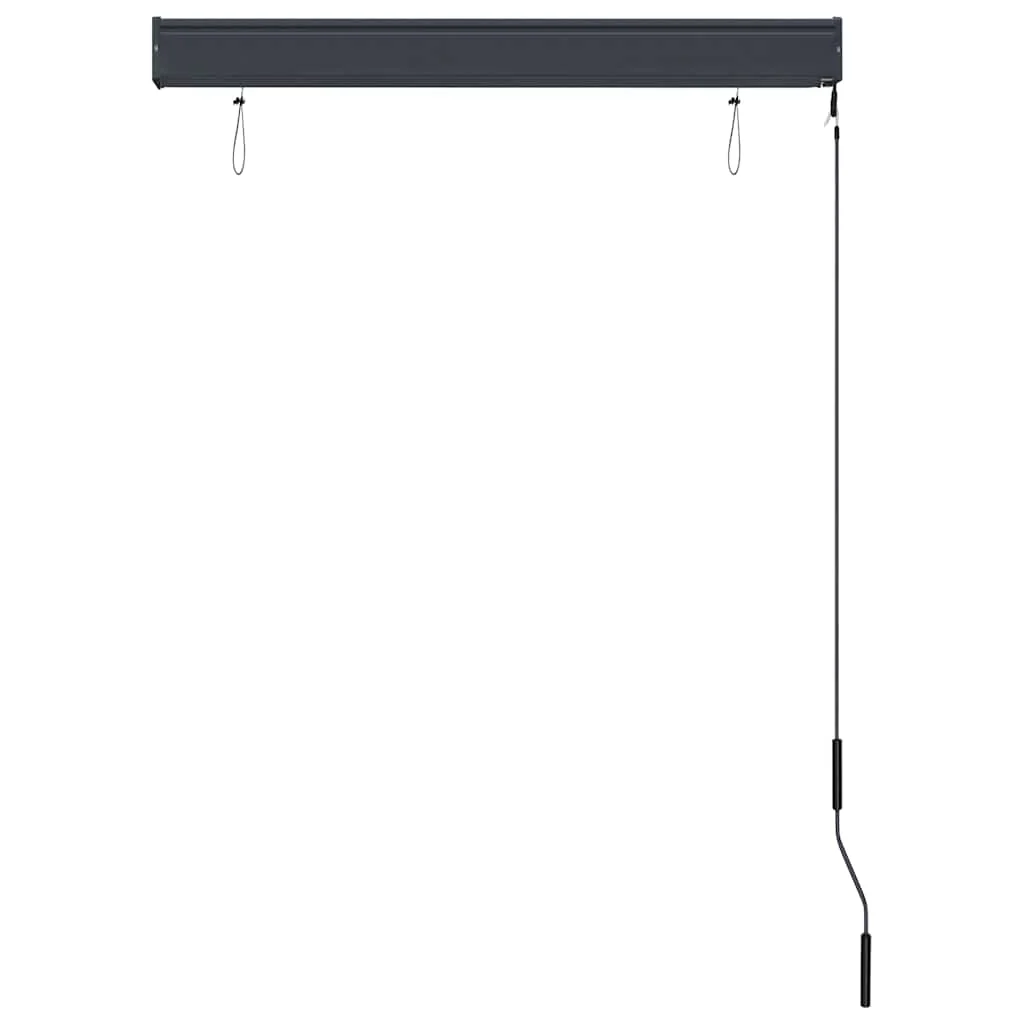 udendørs rullegardin 100x250 cm antracitgrå - Image 5